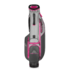 Big Max Heaven Six G Stand Bag